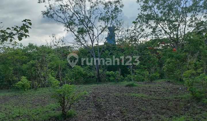 In Good Land Contract, Sea View & Very Suitable for Building Resort & Villa