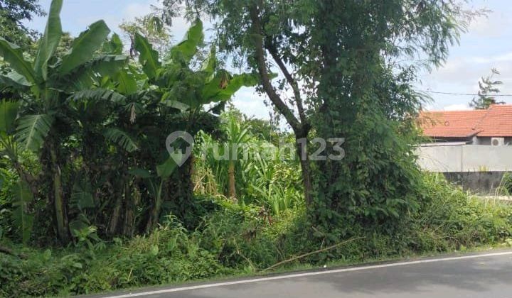 Tanah Bagus Pinggir Jalan Cocok Untuk Usaha Dan Komplex Villa