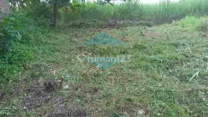 Dijual TANAH NGANTONG Mojokerto 1