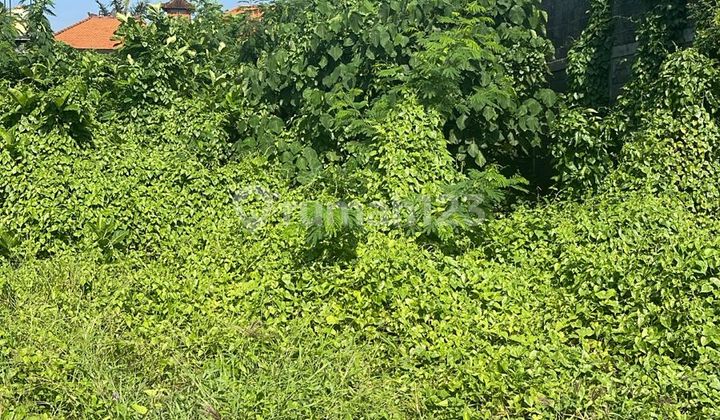 Tanah Strategis Sunsetroad Tanah Strategis Sunsetroad