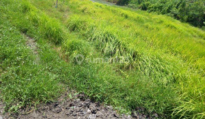 LAND FOR RENT NEARBY MUNGGU BEACH 2