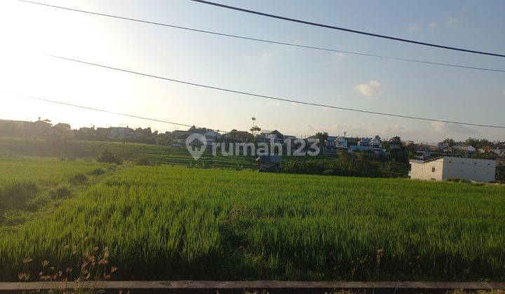 Land For Sale Canggu Lingkungan Rumah Dan Villa Tanah di jalan abasan, Kuta Utara SHM - Sertifikat Hak Milik 16 Are 1