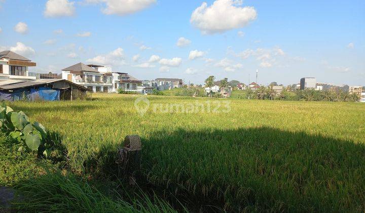 Land For Rent Jalan Pantai Cemagi River View And Rice Field 2