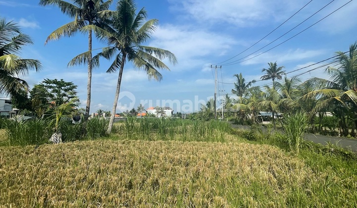 Disewakan Tanah Gianyar Lokasi Strategis