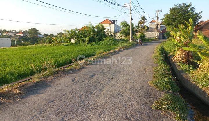 Land For Sale Canggu Neighborhood Houses And Villas Land on Jalan Abasan, North Kuta SHM - Freehold Certificate 16 Are 2