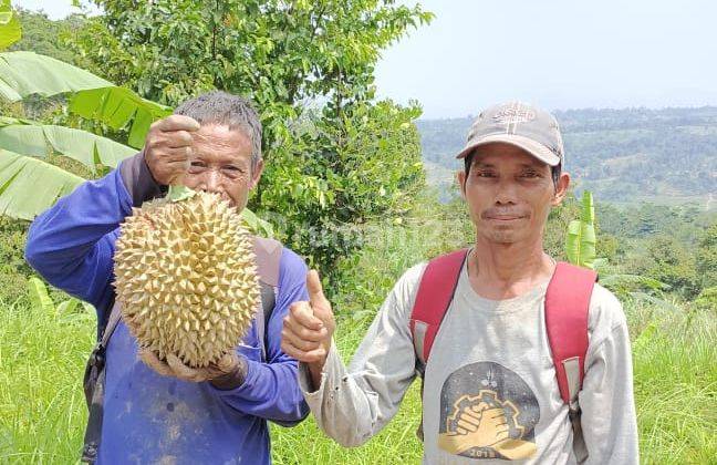 Tanah Jl. Gunung Sieum 2,5ha, Sukadamai, Bogor, Jawa Barat 7