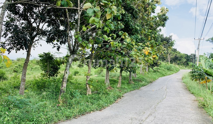 Tanah di Hambalang Bogor SHM Cocok Untuk Cafe Villa Panti 3