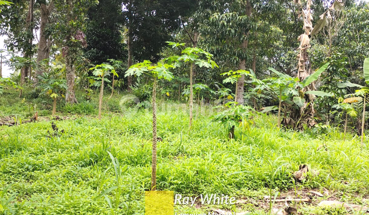 Dijual Tanah Batu Putu Teluk Betung Utara