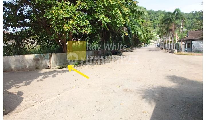 Dijual Tanah Teluk Betung Timur