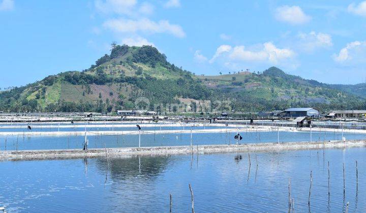 Tanah Pinggir Laut Lampung Selatan 1