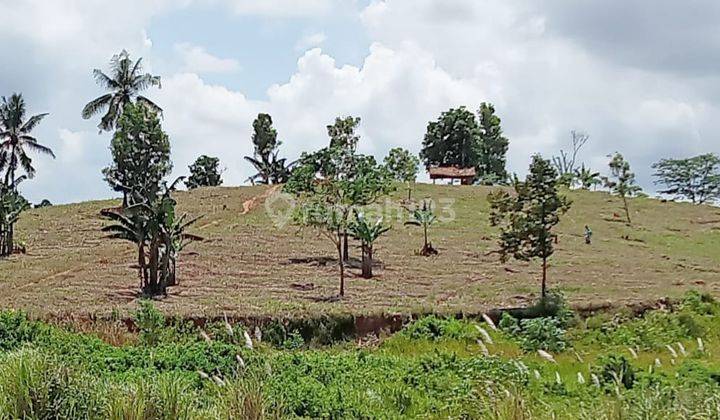 Tanah Merbau Mataram Lampung Selatan 1