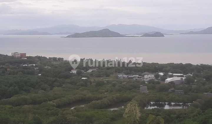 Dijual Rumah Pahoman Bandarlampung 2