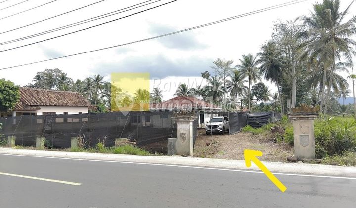 Land and House for Sale in Pagelaran, Pringsewu