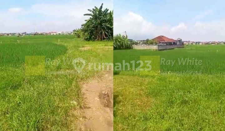 Dijual Tanah 30 Hektar Sukarame Bandar Lampung Dijual Tanah 30 Hektar Sukarame Bandar Lampung