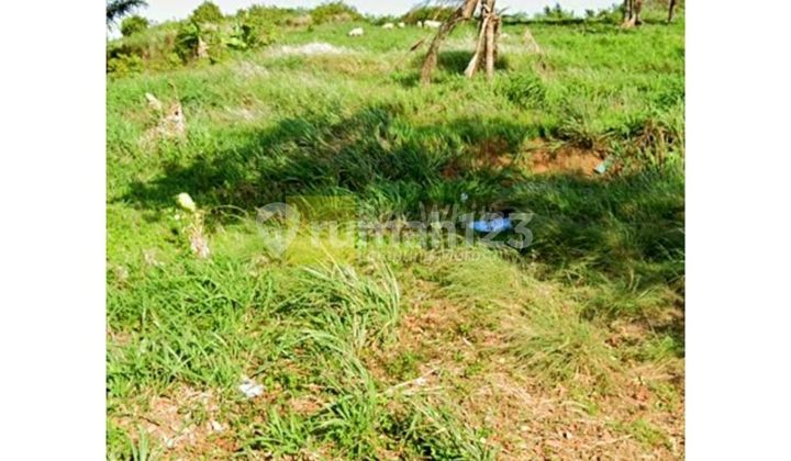 Dijual Tanah Sukabumi Bandar Lampung Dijual Tanah Sukabumi Bandar Lampung