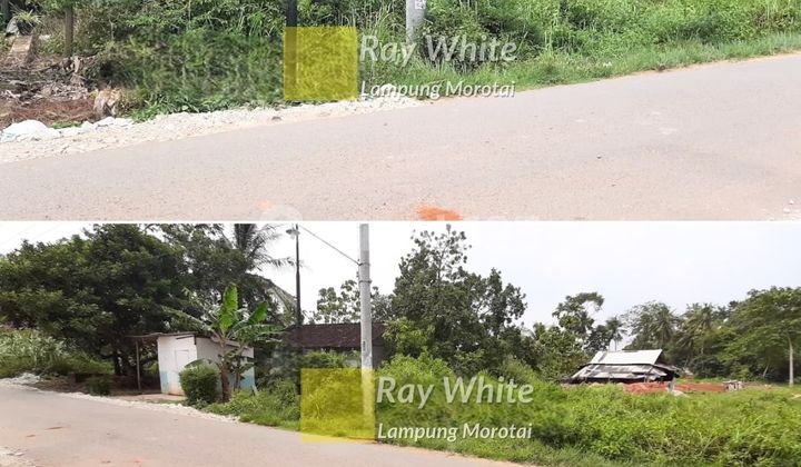 Dijual Tanah Jati Agung, Lampung Selatan