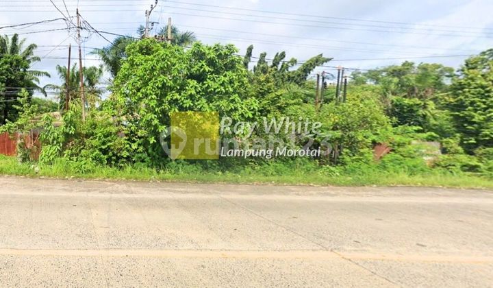 Dijual Tanah Pinggir Jalan Lampung Tengah