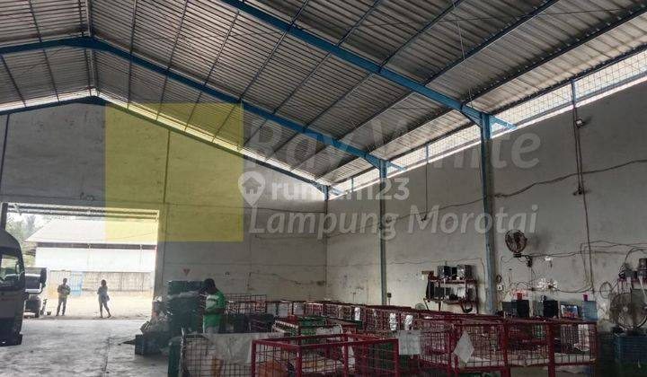 Gudang Campang Bandar Lampung 2