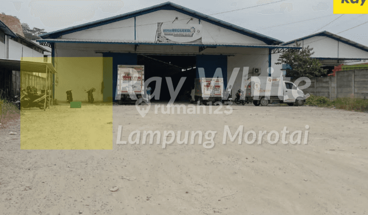 Gudang Campang Bandar Lampung 1