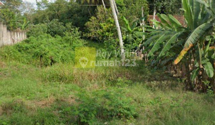 Tanah di Gunung Agung Sekampung udik 2