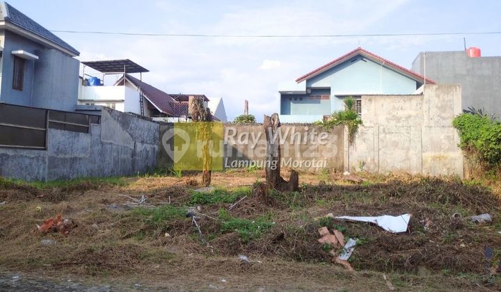 Jual Tanah di Perumahan Bumi Asri (Kedamaian)