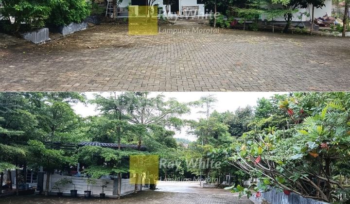 Dijual Tanah Kebun Wisata Di Sidomulya