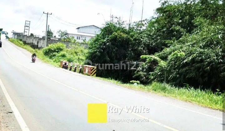 Dijual Tanah di Gedong Tataan, Pesawaran 1