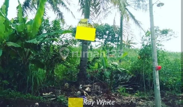 Tanah di Panjang, Bandar Lampung Tanah di Panjang, Bandar Lampung