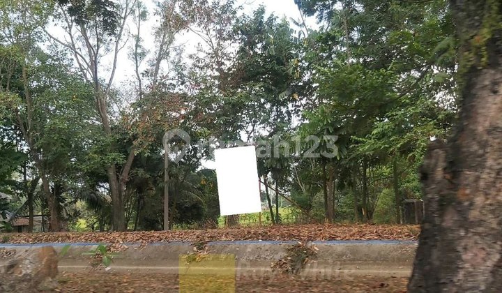 Tanah di Metro Barat Tanah di Metro Barat