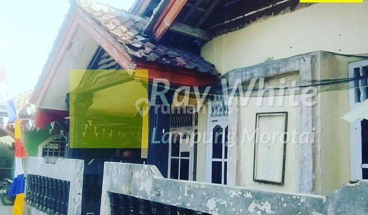 Rumah Bonus Kontrakan di Kalianda 1