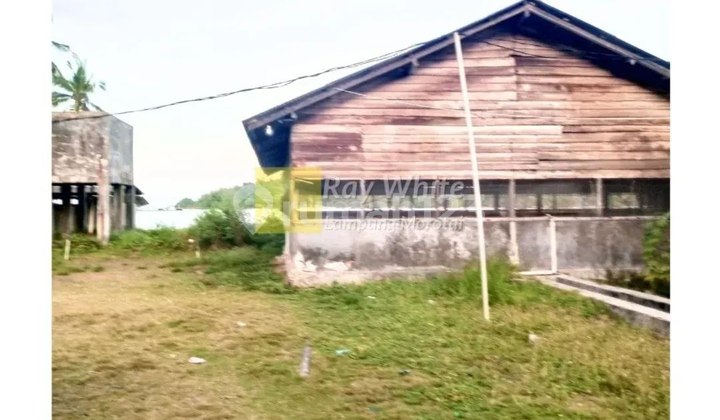 Dijual Tanah Bonus Bangunan di Punduh Pidada, Pesawaran Lampung Dijual Tanah Bonus Bangunan di Punduh Pidada, Pesawaran Lampung