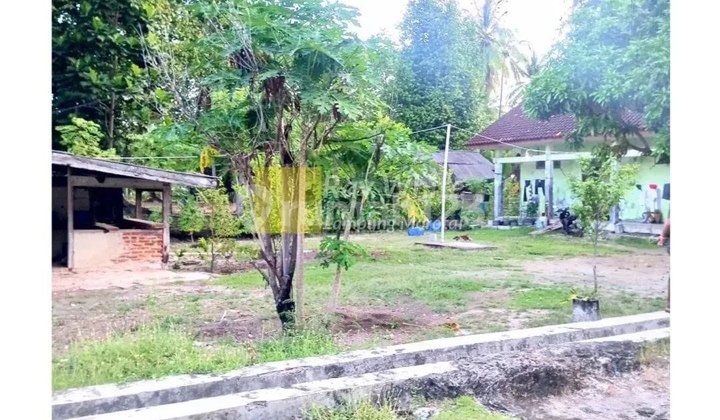 Dijual Tanah Bonus Bangunan di Punduh Pidada, Pesawaran Lampung Dijual Tanah Bonus Bangunan di Punduh Pidada, Pesawaran Lampung