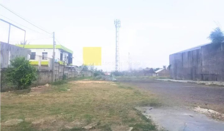 Dijual Tanah di Jati Mulyo, Lampung Selatan Dijual Tanah di Jati Mulyo, Lampung Selatan
