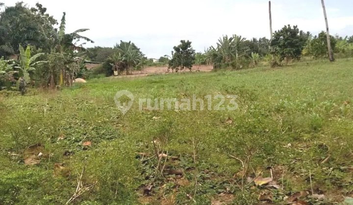 Dijual Tanah di Jati Agung, Lampung Selatan Dijual Tanah di Jati Agung, Lampung Selatan