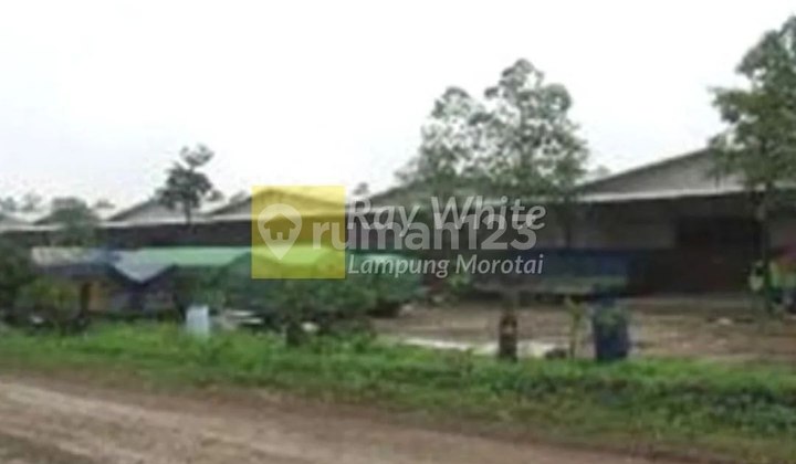 Dijual Tanah + Bangunan di Natar, Lampung