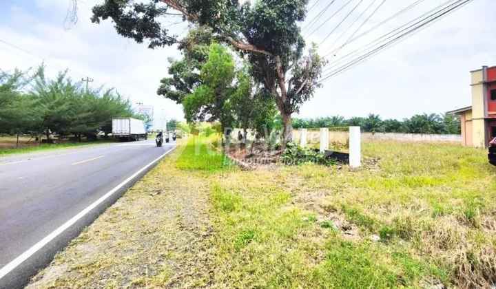 Dijual Tanah di Kalianda, Lampung Selatan