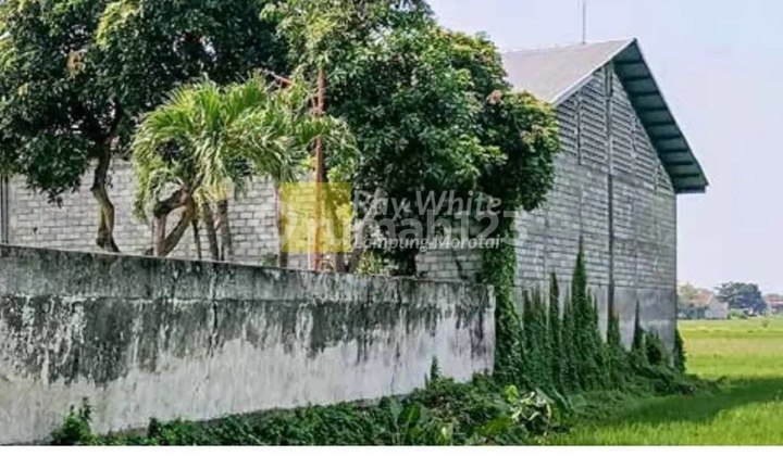 Dijual Gudang di Desa Gambiran, Mojoagung, Jombang, Jawa Timur Dijual Gudang di Desa Gambiran, Mojoagung, Jombang, Jawa Timur