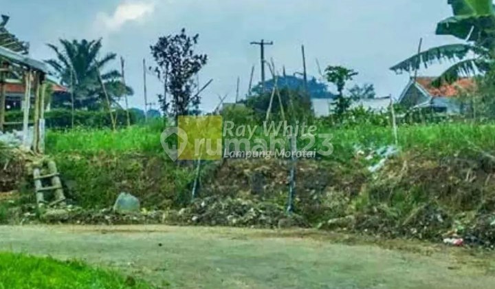 Land for Sale Located at Villa Lotus Garden, Cipanas, Cianjur, West Java.