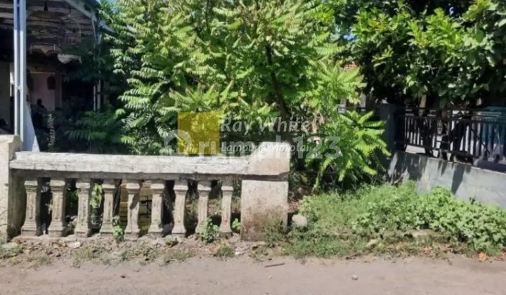 Jual Tanah yang Berlokasi di Desa Wilayut, Sidoarjo, Jawa Timur Jual Tanah yang Berlokasi di Desa Wilayut, Sidoarjo, Jawa Timur