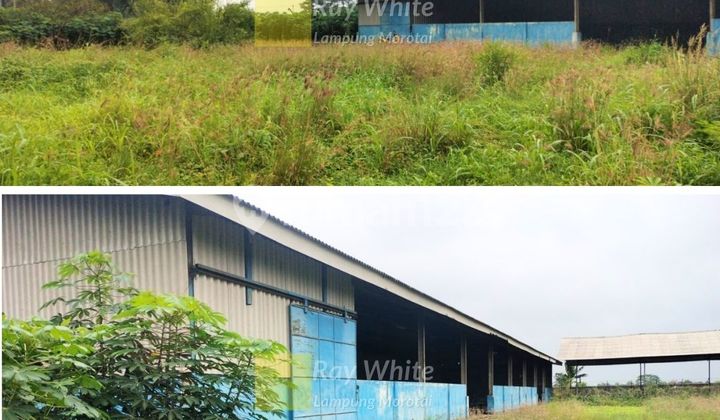 di jual area gudang di nuban lamtengah 1