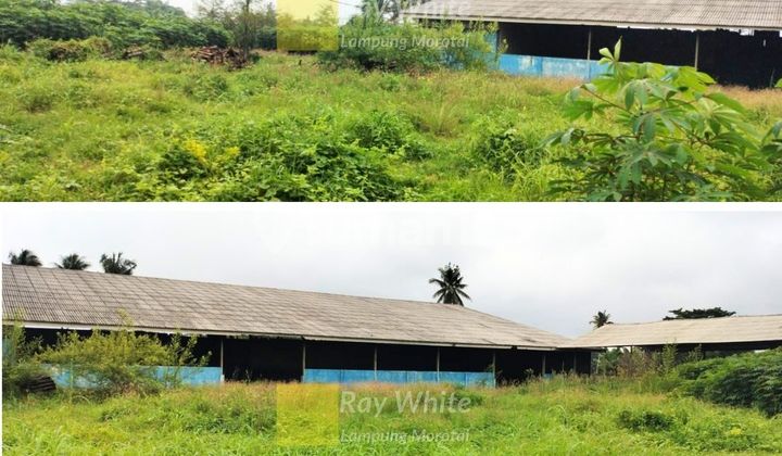 di jual area gudang di nuban lamtengah 2