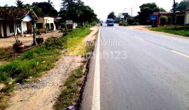 di jual tanah dan bangunan di terbanggi  besar 2