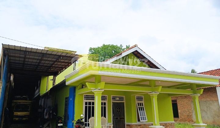 for sale house and warehouse in natar 2