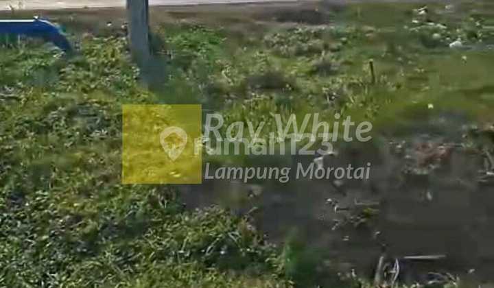 di jual tanah murah natar