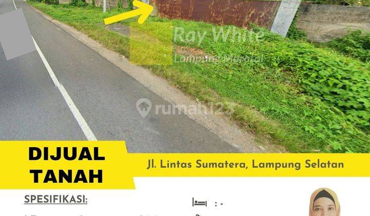 tanah luas murah di pinggir jalan lintas sumatra 1