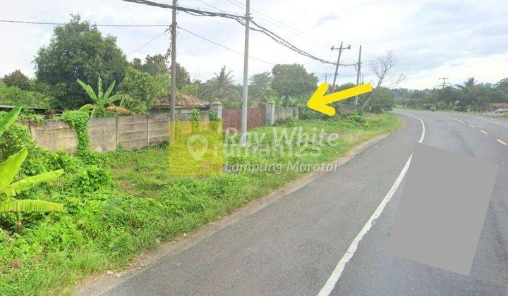 tanah luas murah di pinggir jalan lintas sumatra 2