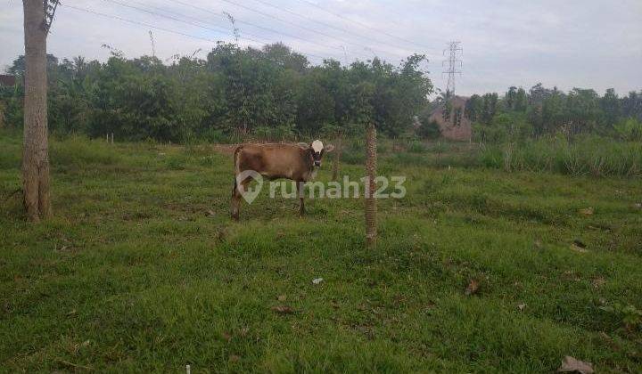 Tanah  luas murah negara ratu 2