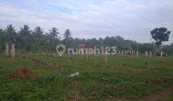 Tanah dijual luas murah negara ratu