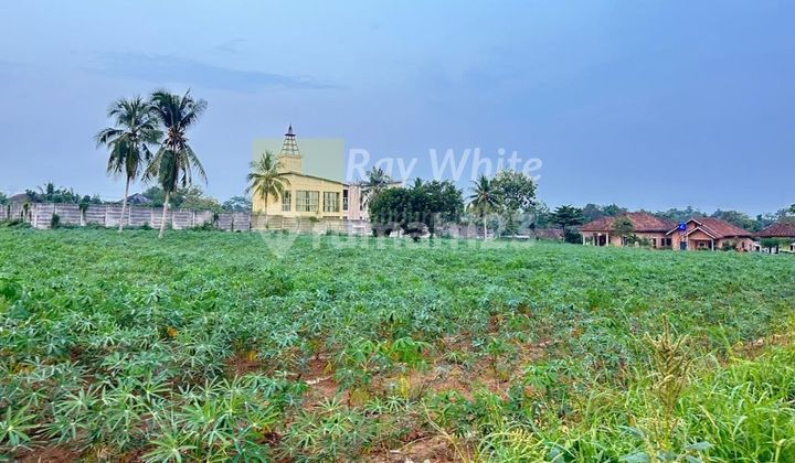 Dijual tanah luas di lampung tengah