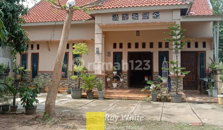 House for sale House for sale